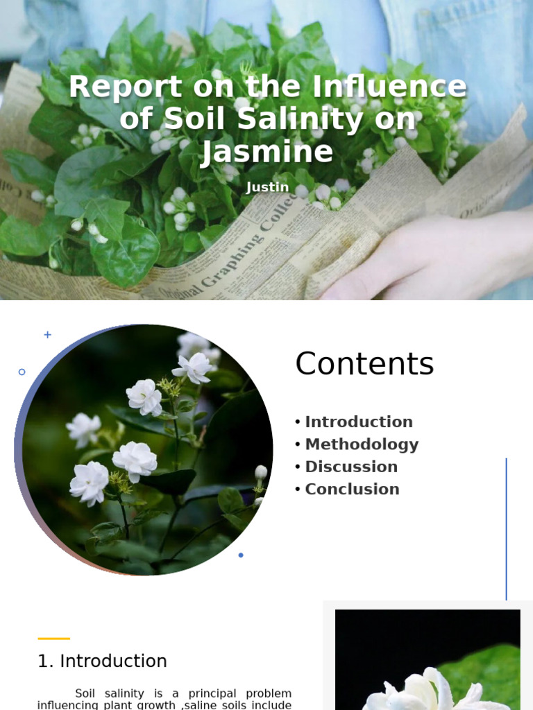 Impact of Soil Salinity on Jasmine Growth | PDF | Salinity | Soil