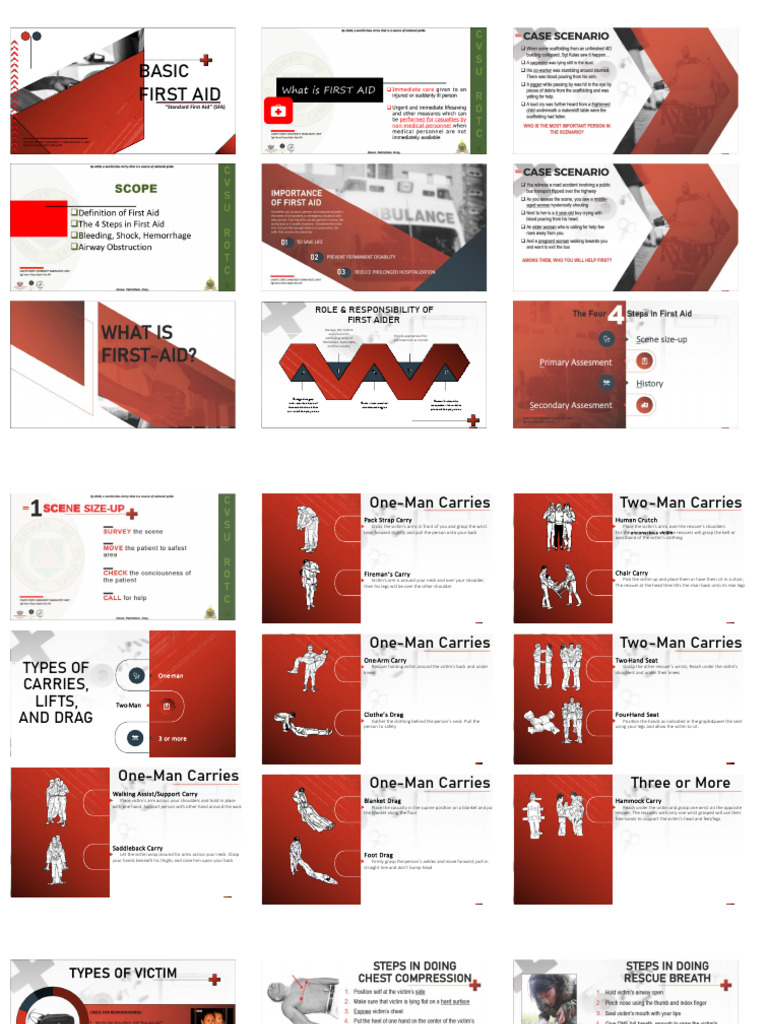 Basic First Aid | PDF