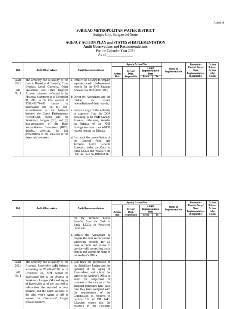 04-SurigaoMetropolitanWD2021 AAPSI | PDF | Audit | Inventory