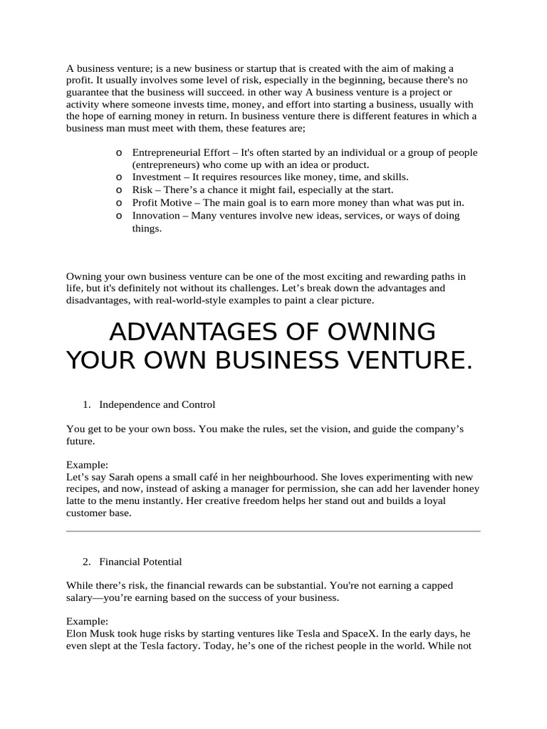 Business Venture by Evance | PDF | Entrepreneurship | Venture Capital
