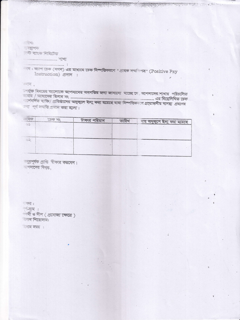 Positive Pay | PDF