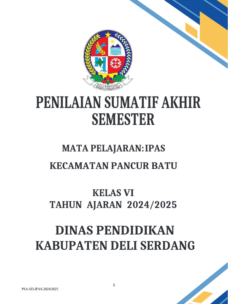 Soa Ipas Pas 6 | PDF