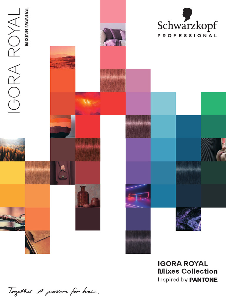 Igora Royal Mixing Instructions Guide | PDF | Color | Vision