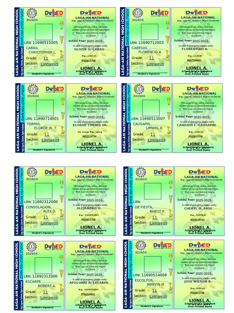 Laga-an National High School ID Cards | PDF