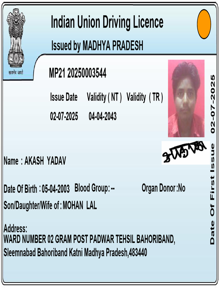 Form 7 Driving Licence Details | PDF