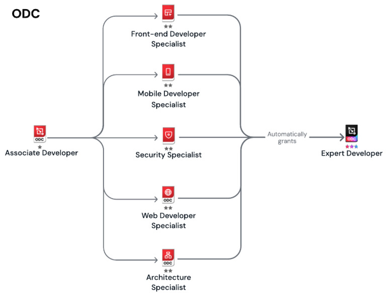 ODC Certification Program | PDF
