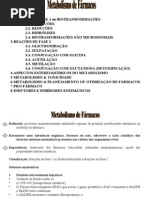 Aula de MetabolismoBarbara1