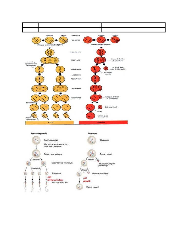 Xmelnitskiydan kelgan qiz jinsiy aloqa qilishni xohlaydi.