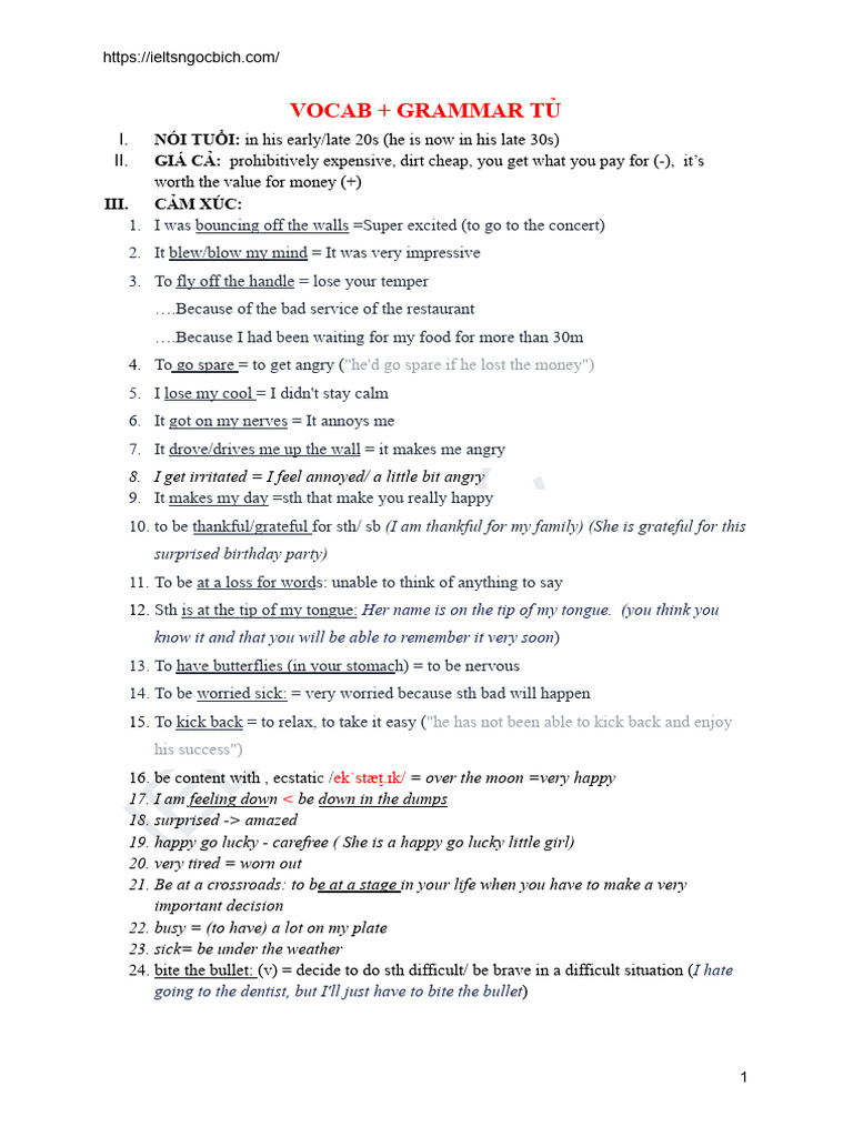 IELTS Vocabulary and Grammar Guide | PDF