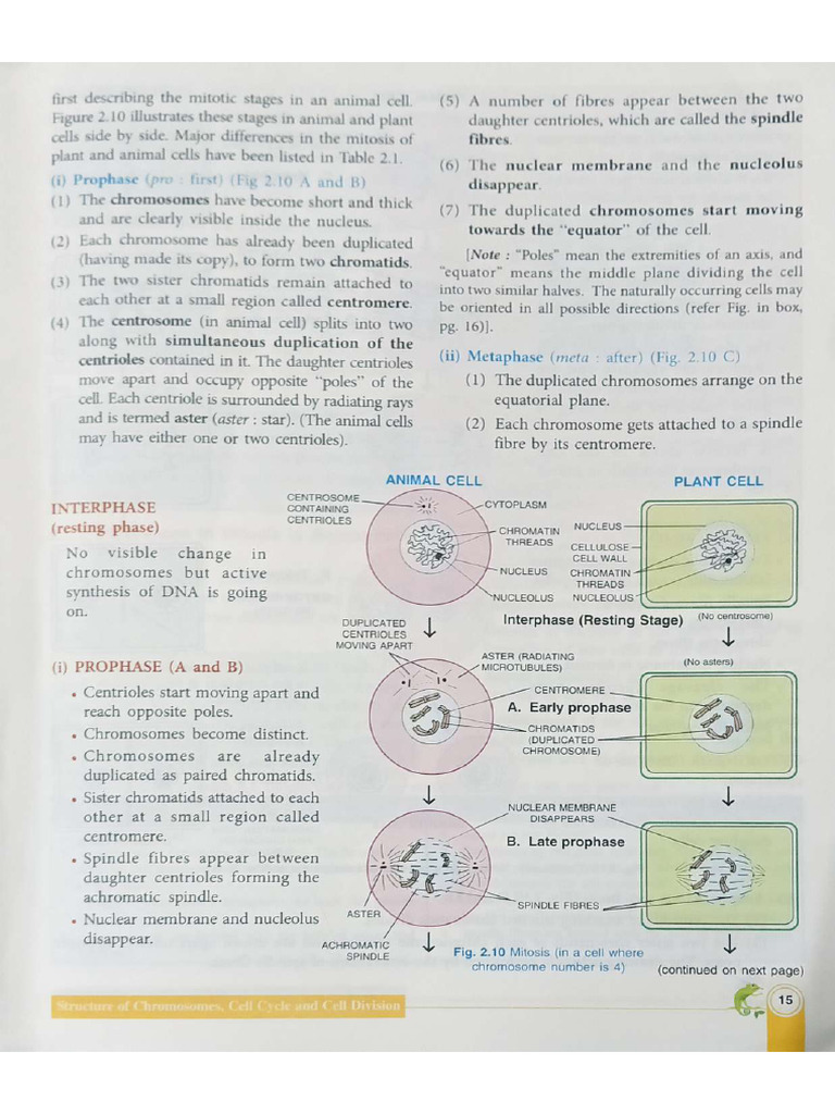 Concise Biology Class 10 Chapter 2.2 | PDF