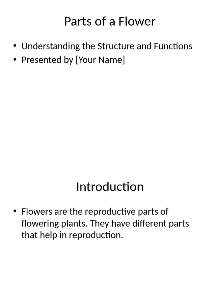 Parts of A Flower Presentation | PDF
