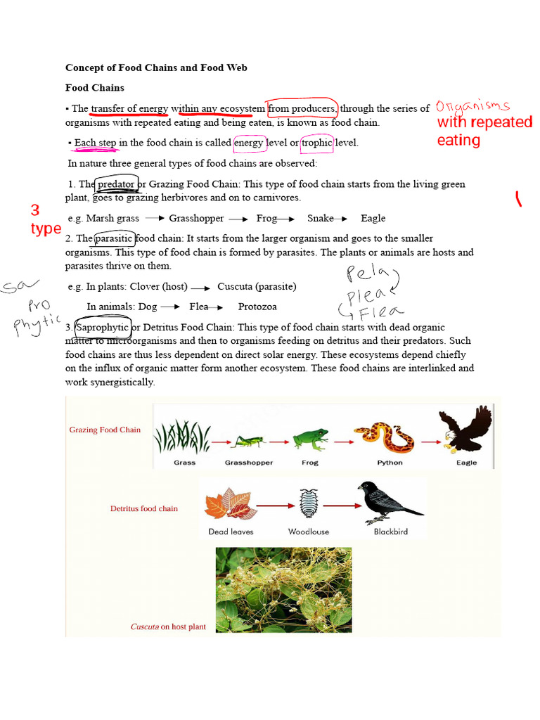 FY Notes Ecology | PDF