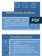 11 - Gerenciamento de Riscos -      Versão 2007