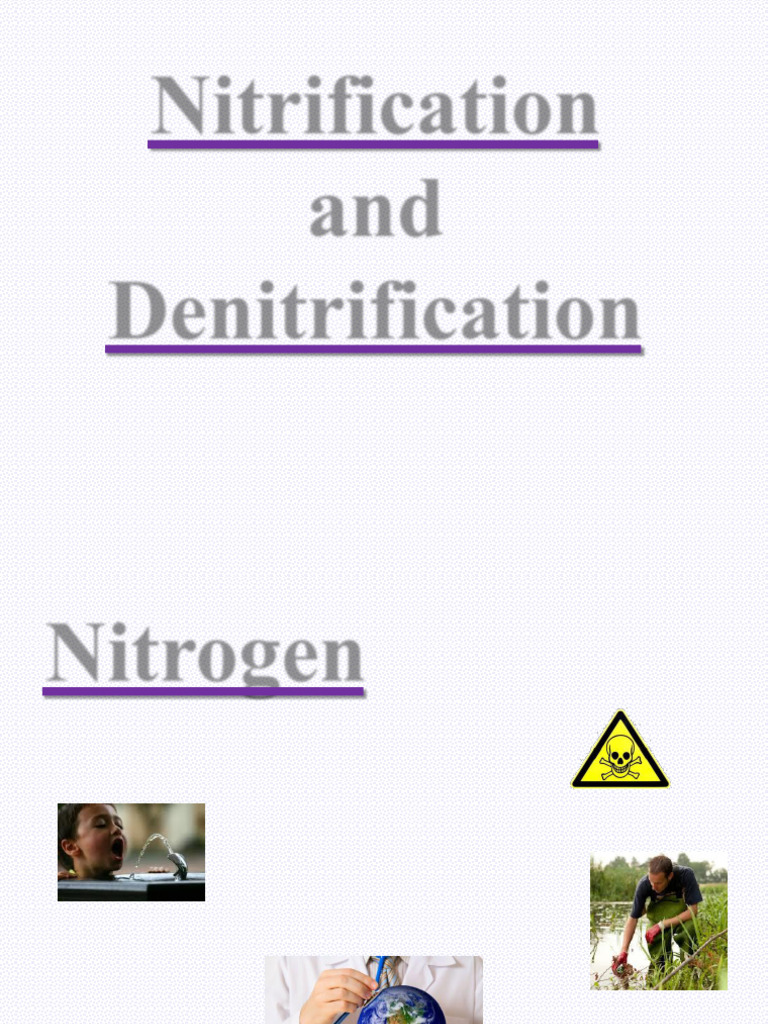 Nitrification and Denitrification Overview | PDF | Sewage Treatment ...