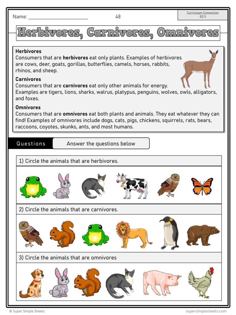 Meet the Euplerids, the Strange Carnivores of Madagascar, image size:768x1024