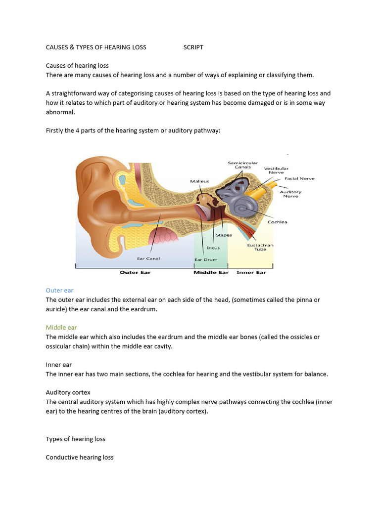 Types and Causes of Hearing Loss | PDF | Ear | Hearing Loss