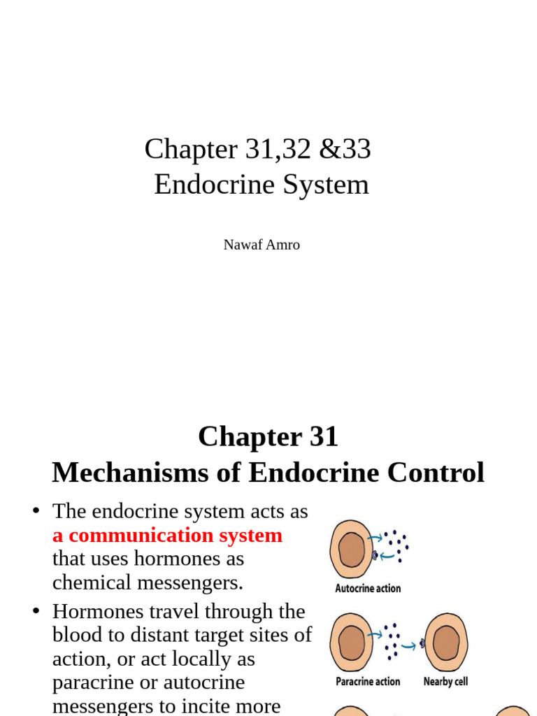 CH 31,32 33 Endocrine System | PDF | Adrenal Gland | Endocrine System
