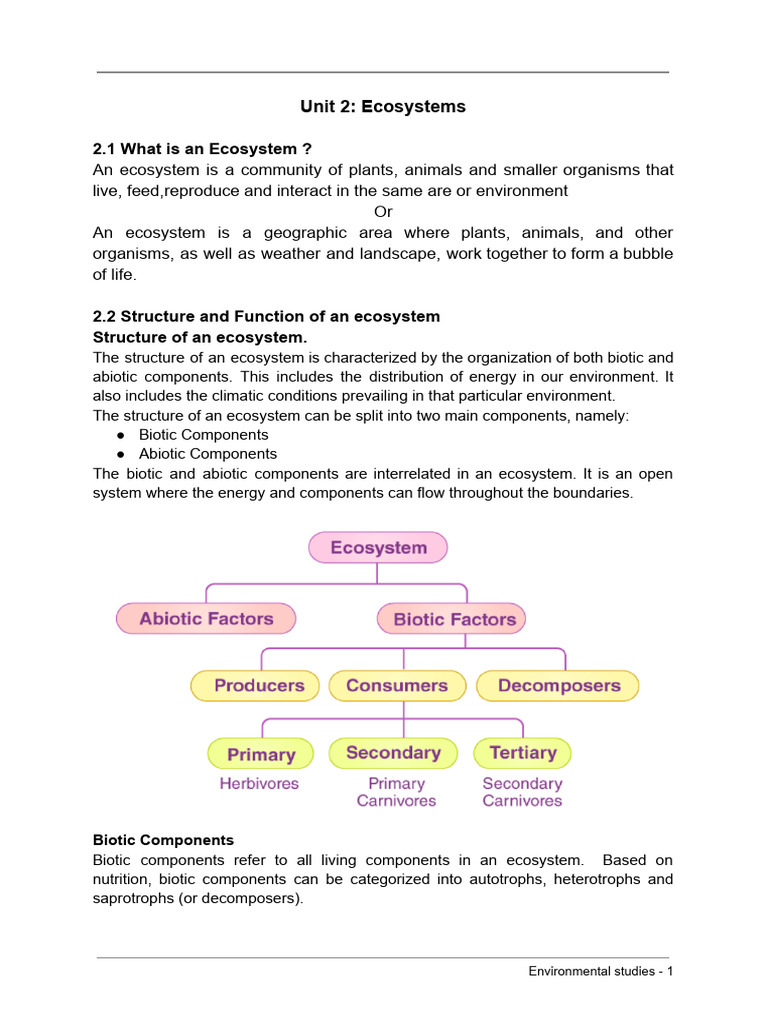 Ecosystem Structure and Function Overview | PDF | Ecosystem | Food Web