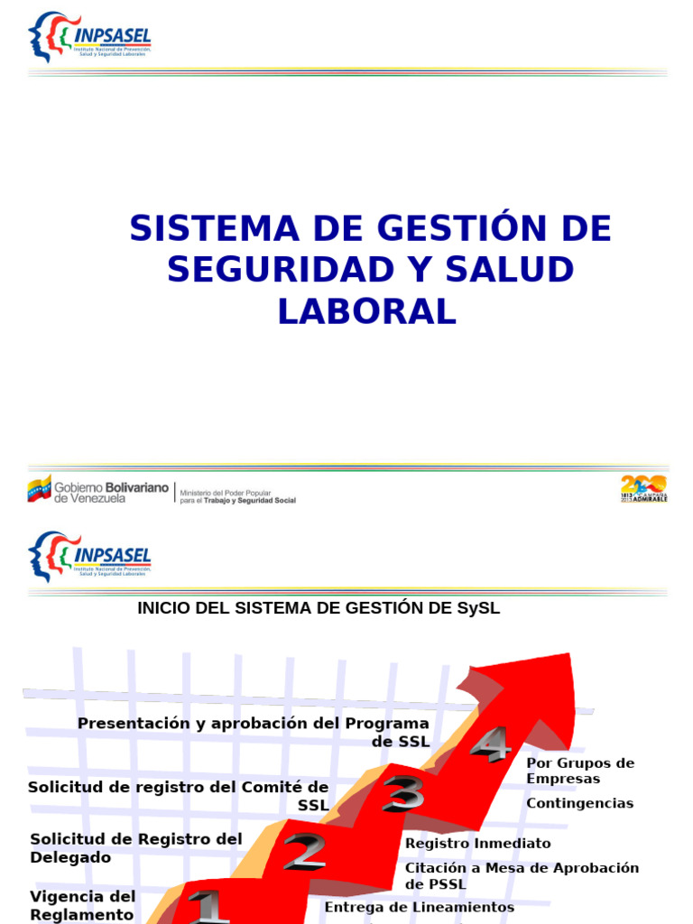 Gestión de Seguridad y Salud Laboral | PDF | Seguridad y salud ...