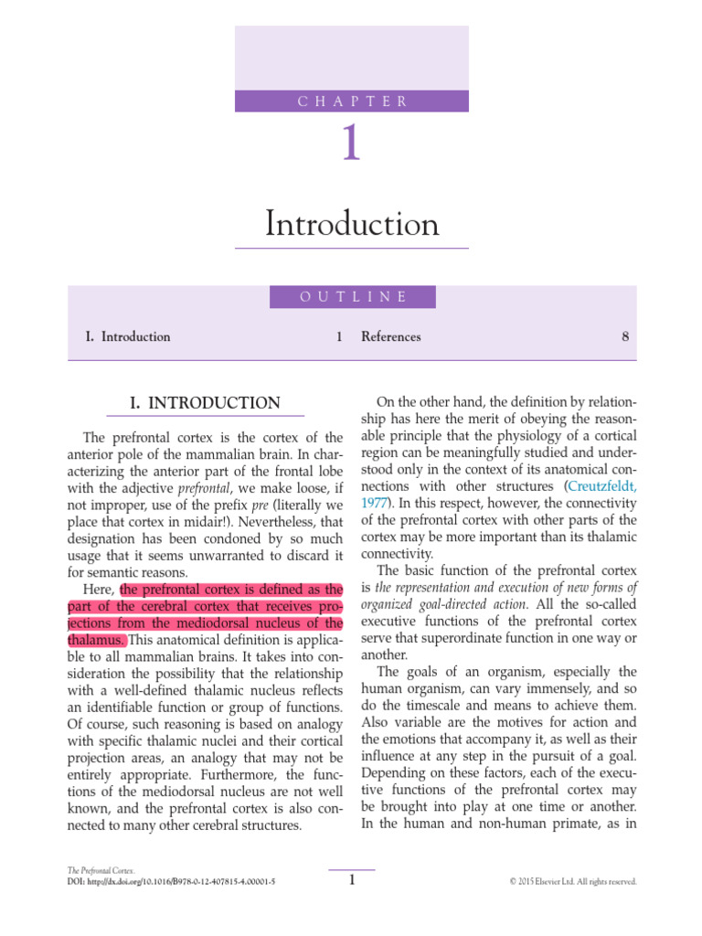 Understanding the Prefrontal Cortex | PDF | Prefrontal Cortex ...