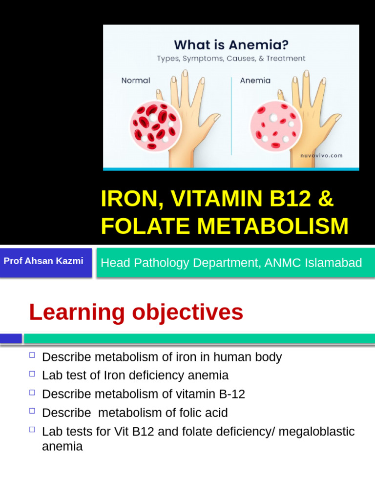 Iron, Vit B12, and Folate Metabolism 2023 | PDF | Vitamin B12 | Iron