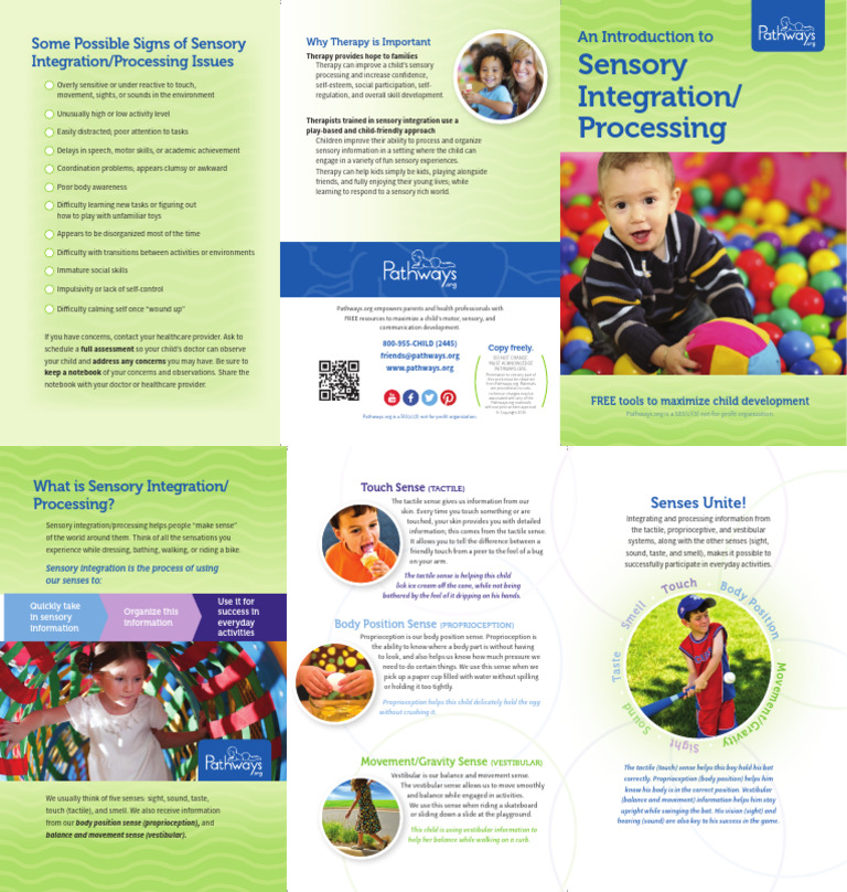Photo inspiration: Somatosensory Integration Therapy Reference: Sensory Integration Guide For Child Development Pdf