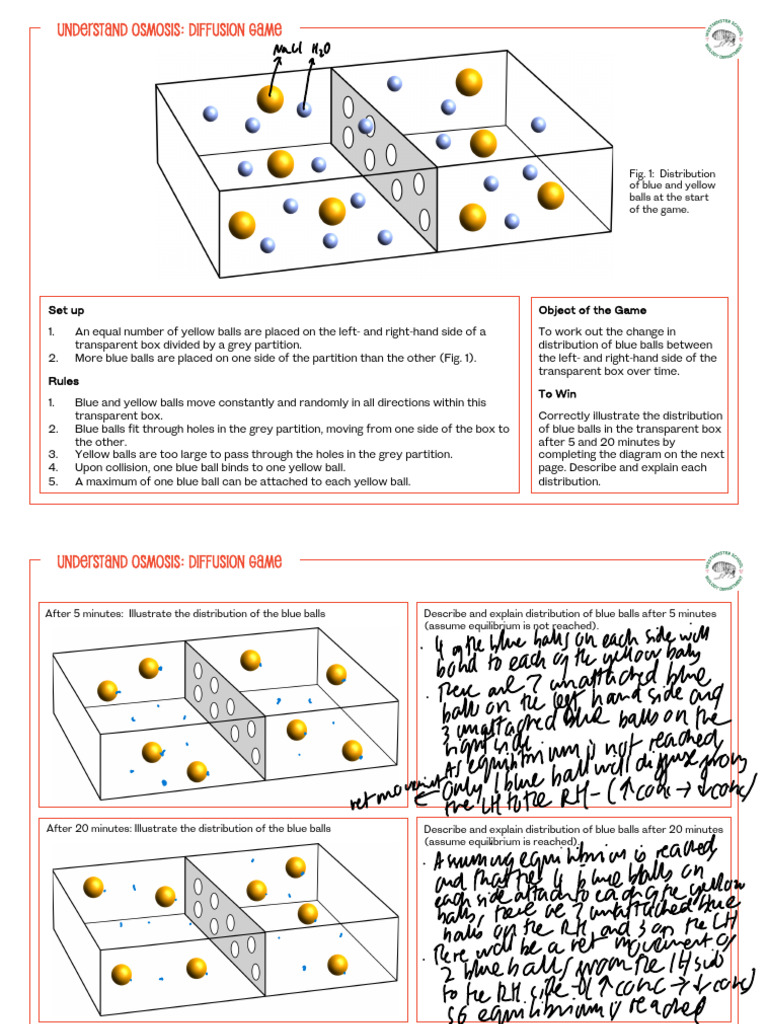 Osmosis and Diffusion Game Guide | PDF | Osmosis | Chemistry