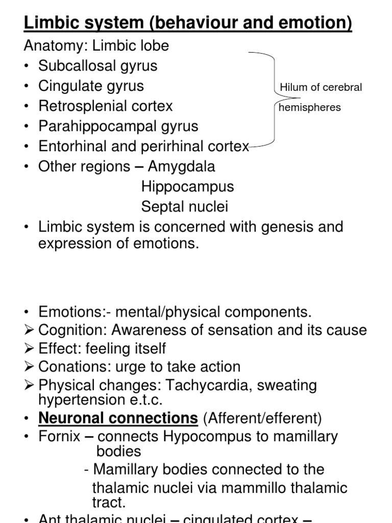 Limbic System and Emotional Behavior | PDF | Limbic System | Hypothalamus