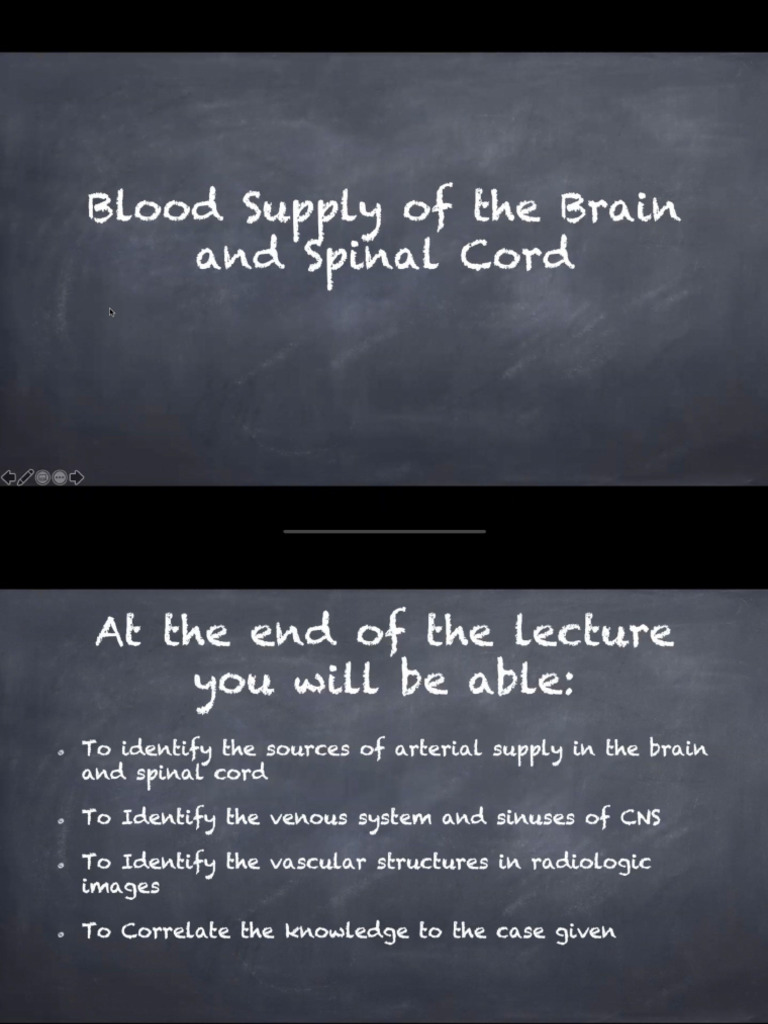 Blood Supply of The Brain and Spinal Cord | PDF