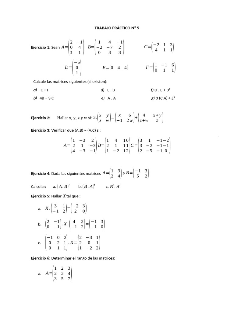 Trabajo Práctico N°5 Matrices 2 | PDF | Matriz (Matemáticas) | Física ...