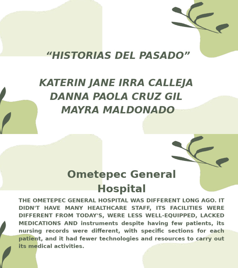 The Ometepec General Hospital | PDF