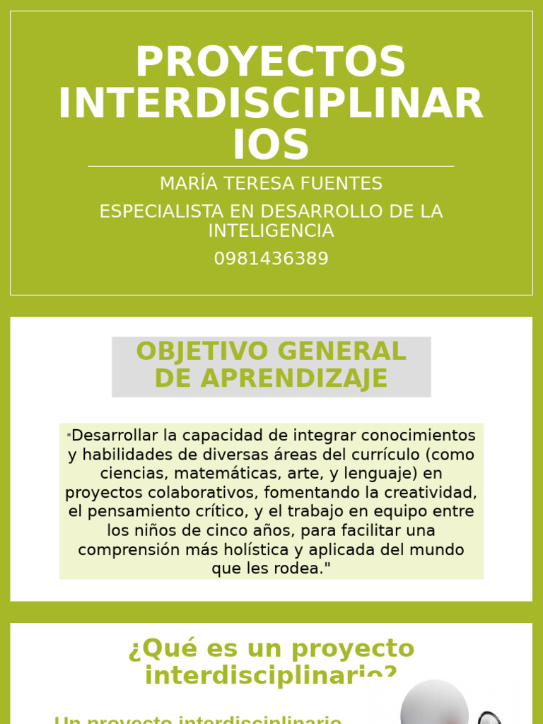 Guía para Proyectos Interdisciplinarios | PDF | Diseño | Evaluación