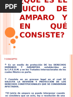 Diferencias entre Amparo Directo e Indirecto | PDF | Derechos humanos ...