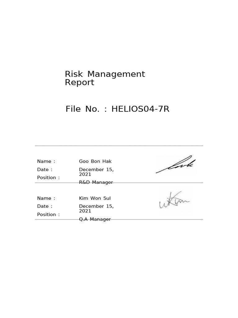Risk Management Report EXAMPLE | PDF | Risk | Risk Management