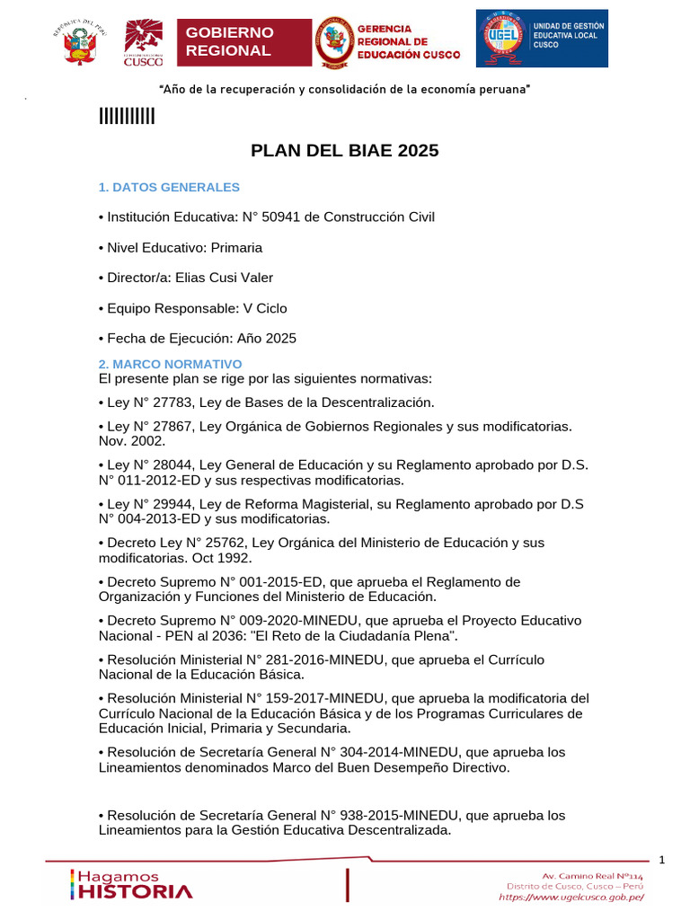 Plan BIAE 2025 para Educación Primaria | PDF | Educación primaria ...