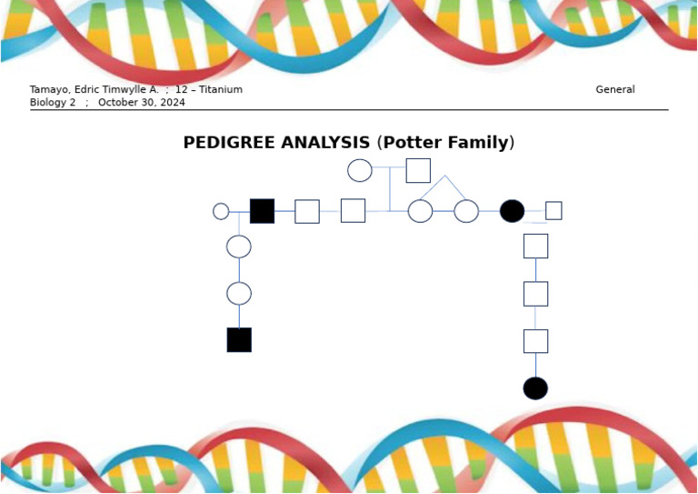 Potter Family Pedigree Analysis | PDF