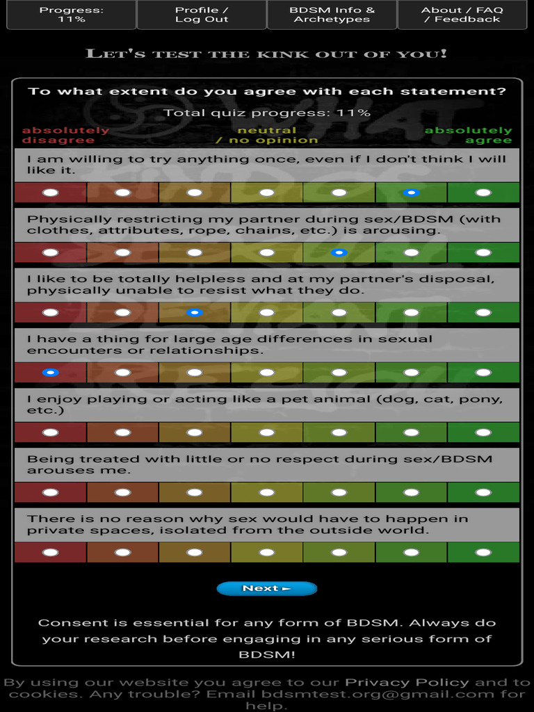 BDSM Kink Assessment Quiz | PDF