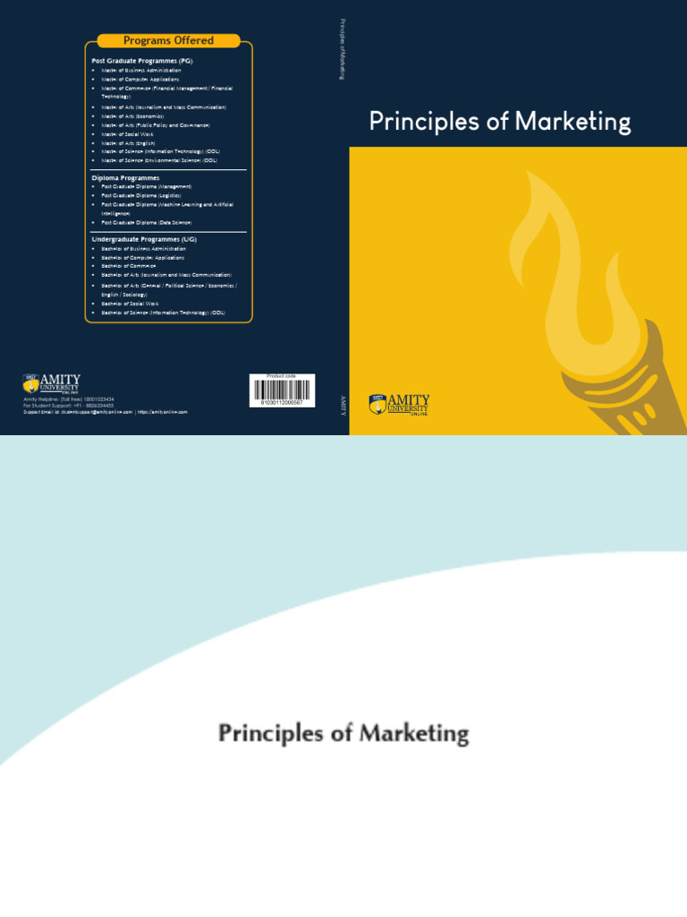 Principle of Marketing F | PDF | Marketing | Market Segmentation