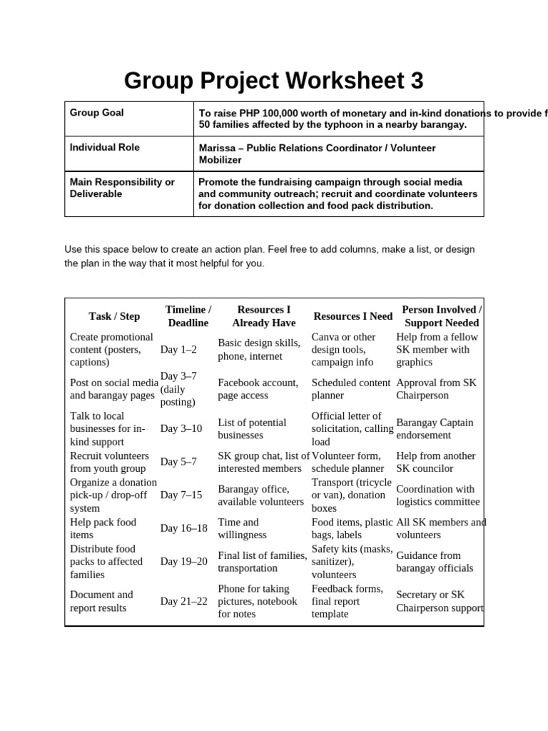 Fundraising Action Plan for Typhoon Relief | PDF