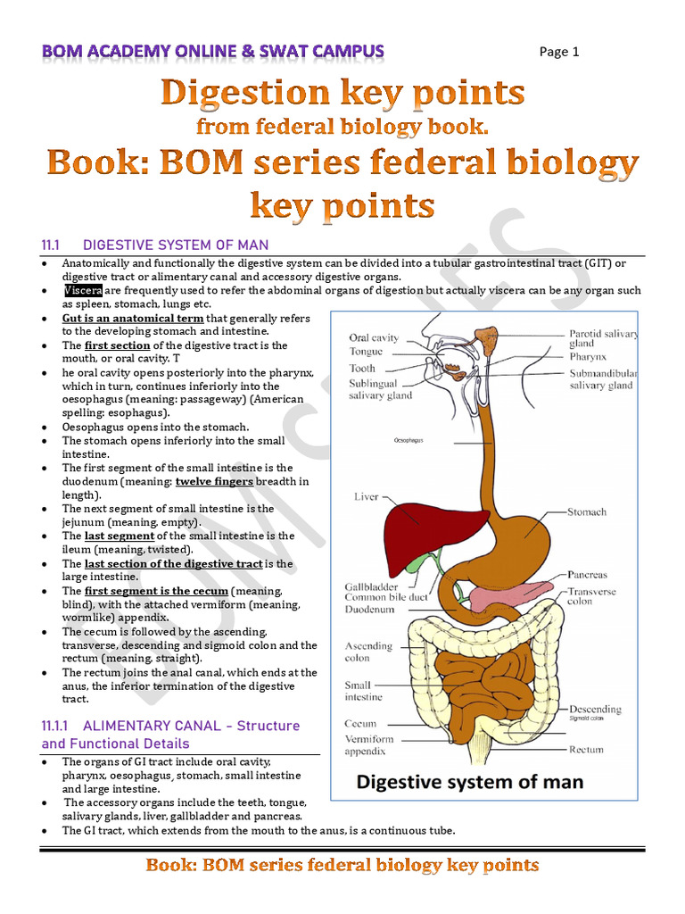 Pepsinogen Secretion in Gastric Glands | PDF | Stomach ...