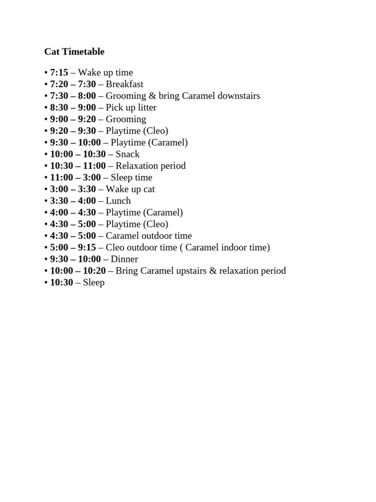 Cat Daily Schedule Timetable | PDF