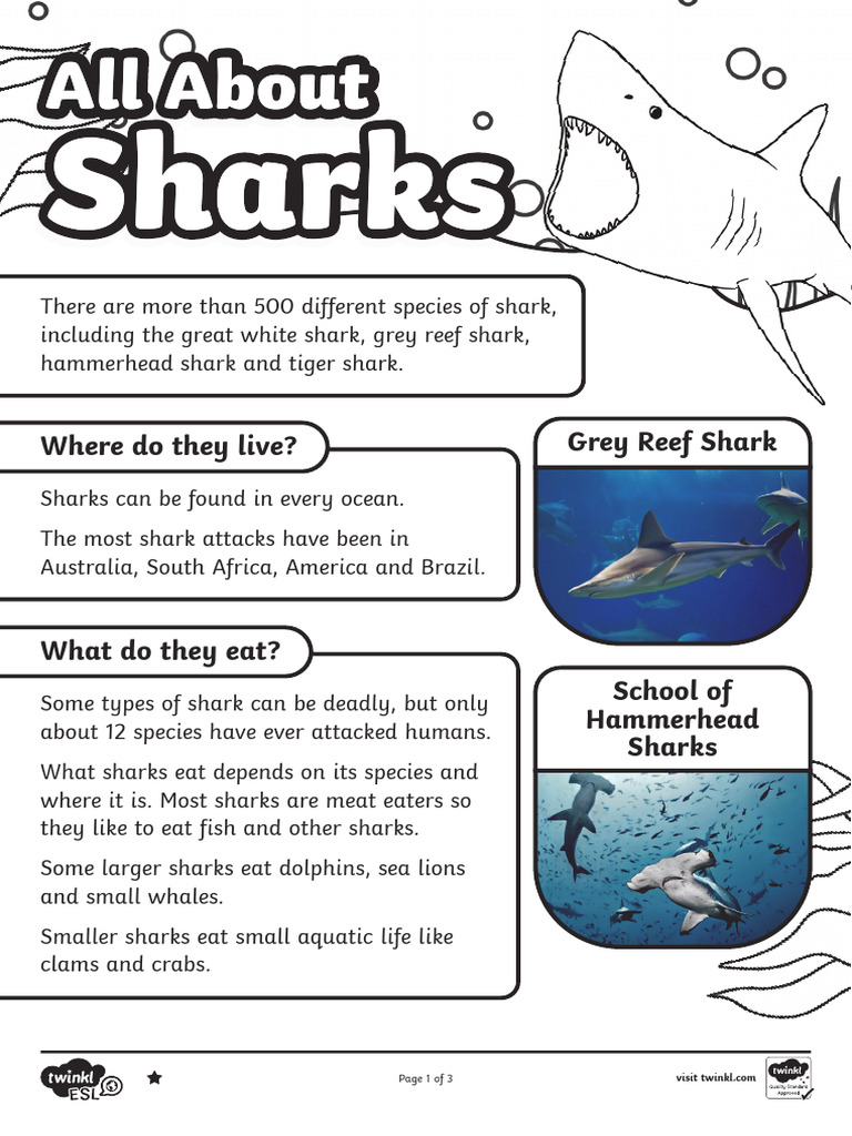 Essential Facts About Sharks | PDF | Sharks | English As A Second Or ...