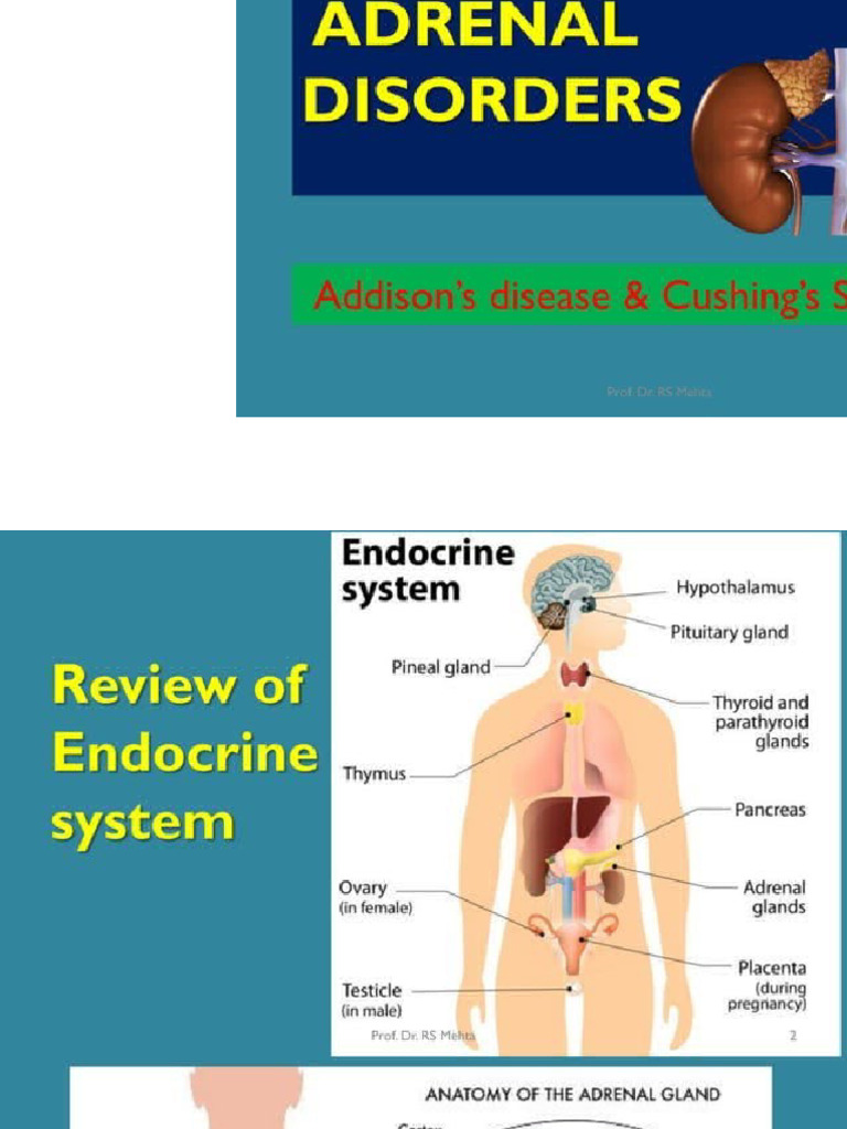 Adrenal Disorders.... | PDF