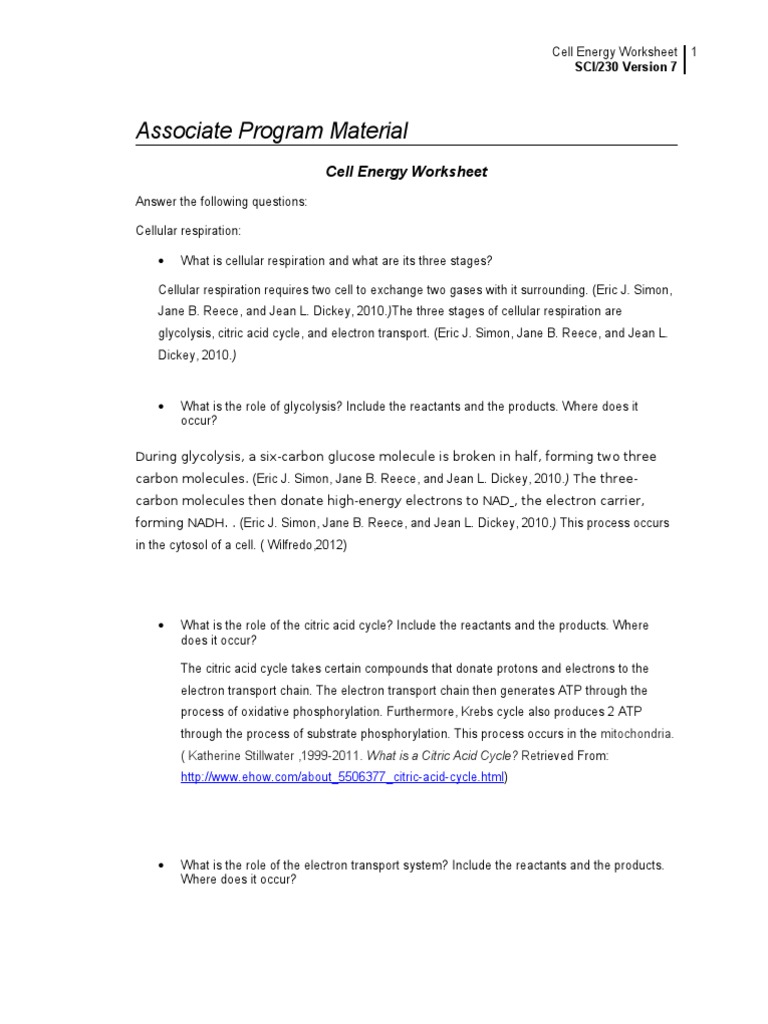 Chapter 6 Cell Energy Photosynthesis And Respiration Worksheet