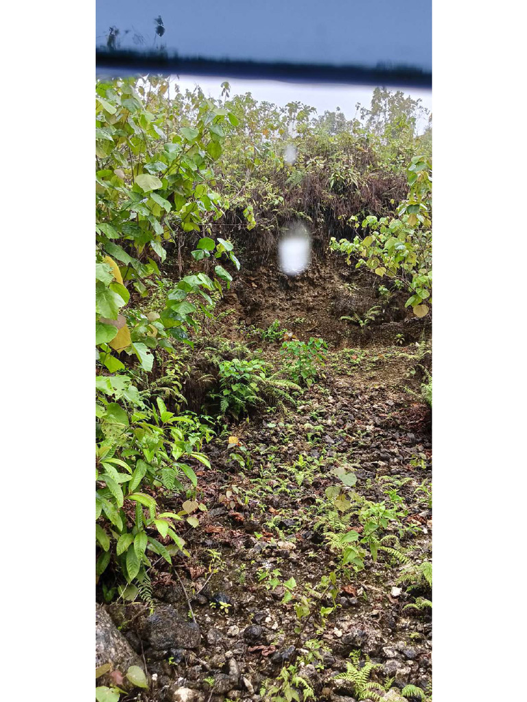 Lumbi-Lumbia Ploting Location 2 | PDF