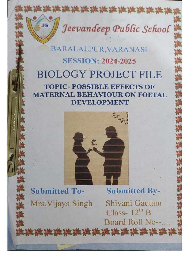 Possible Effect of Maternal Behaviour On Foetal | PDF