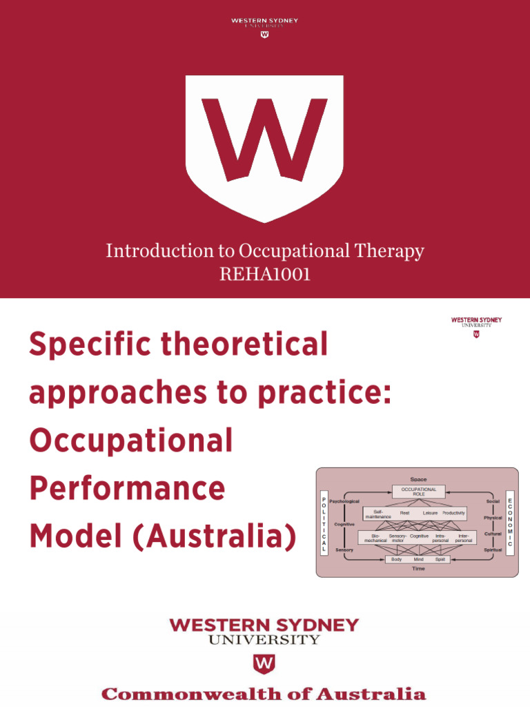 Understanding the OPM-A in OT Practice | PDF | Occupational Therapy ...