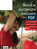 PDF Skola Gajenja Jagoda
