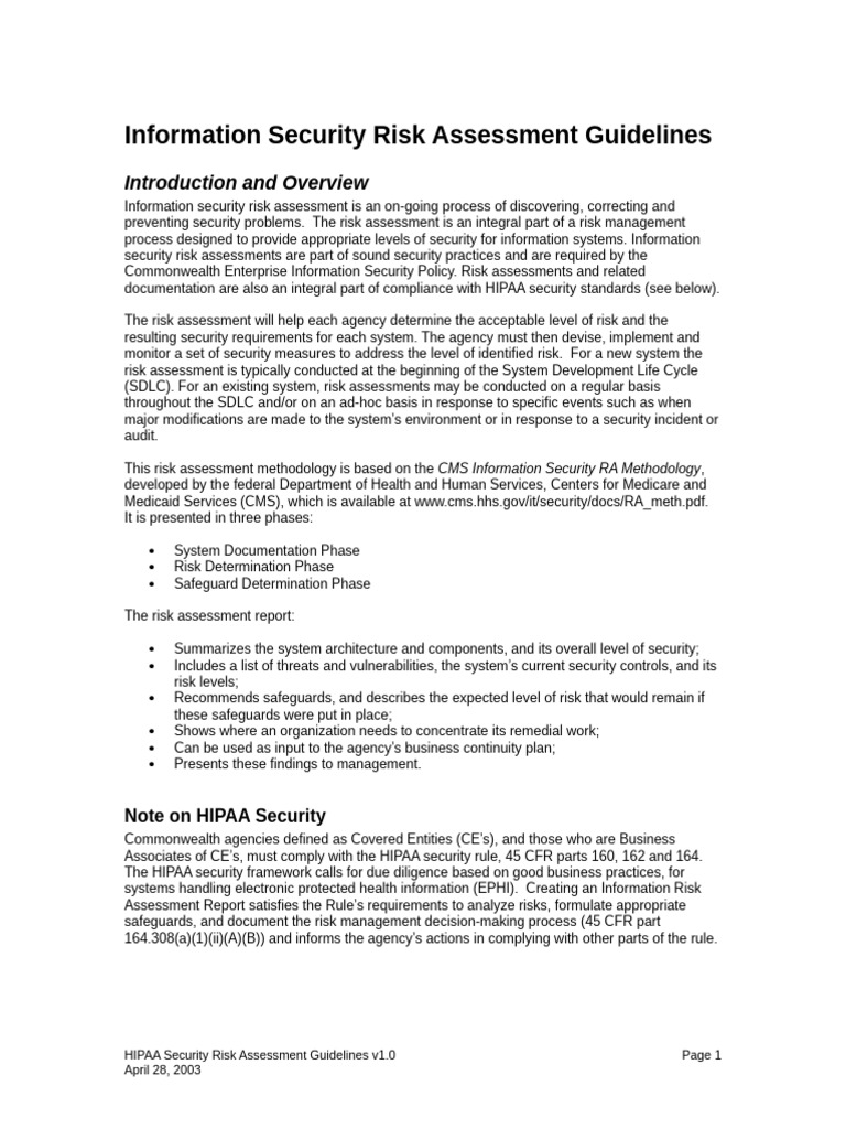 Information Security Risk Assessment Guide | PDF | Information Security ...