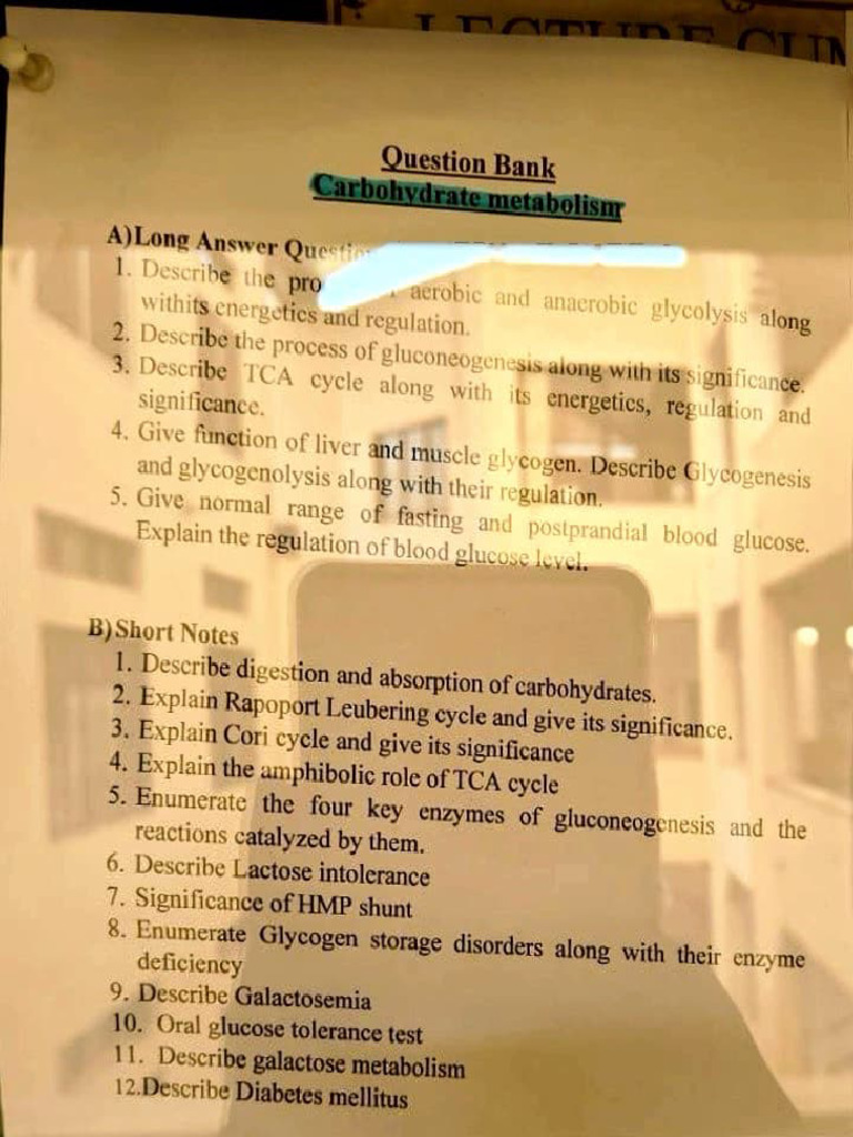 Biochem Qs | PDF